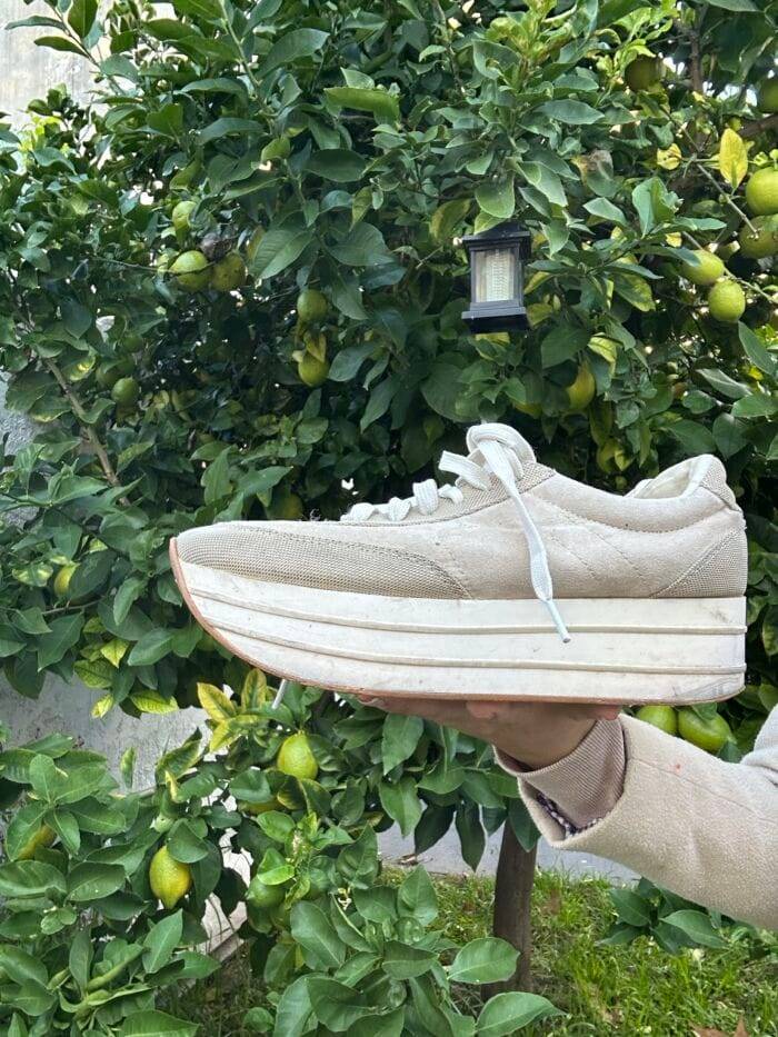 Championes Zara 38